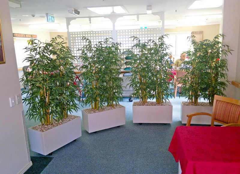 bamboo planters in row2.jpg